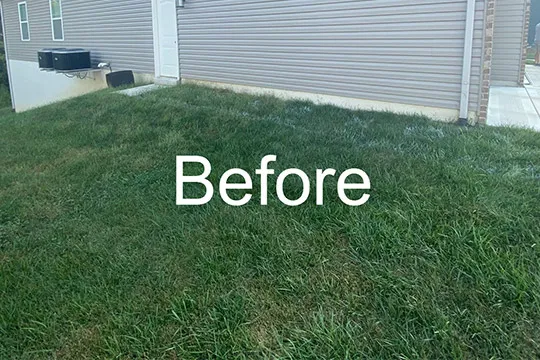 sod installation shiloh il