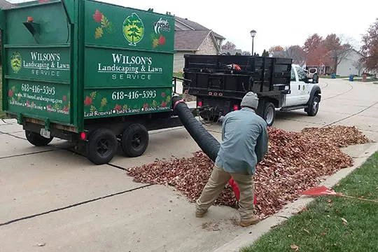 leaf removal shiloh il