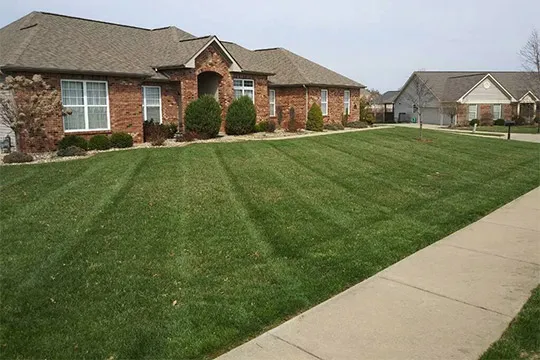 lawn care shiloh il