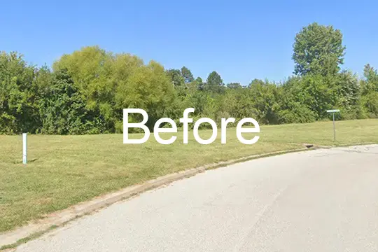 before forest mulch shiloh illinois