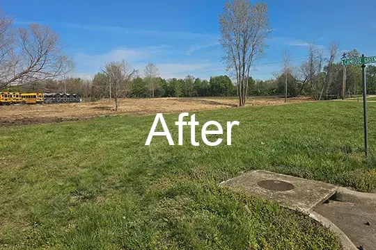 after forest mulch shiloh illinois